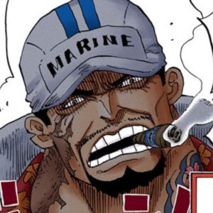 赤犬が強すぎる！過去最強の海軍元帥？強さは青キジやエースを死亡させるほどの実力！