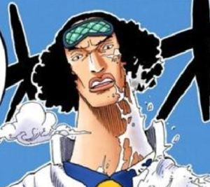 青キジ(クザン)が義足になった理由とは？海軍やめた現在はどうなったのか？