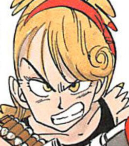 【ドラゴンボール】天津飯とランチの関係はその後どうなった？最後は結婚した？