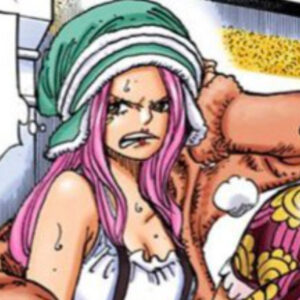 【ワンピース】ボニーはくまの娘！親子だった！涙の理由は父親の改造や奴隷