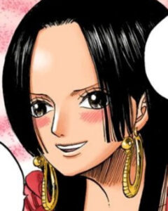 【ワンピース】ハンコックがルフィに惚れた理由とは？出会いはいつ？今後の関係は？