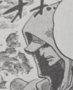 赤犬の初登場は何話？性格は昔からやばい？過去にオハラで避難船に乗った民間人を攻撃！